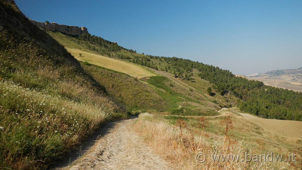 DSCN1121.JPG - Riserva Naturale Orientata di Monte Capodarso e Valle dell'Imera