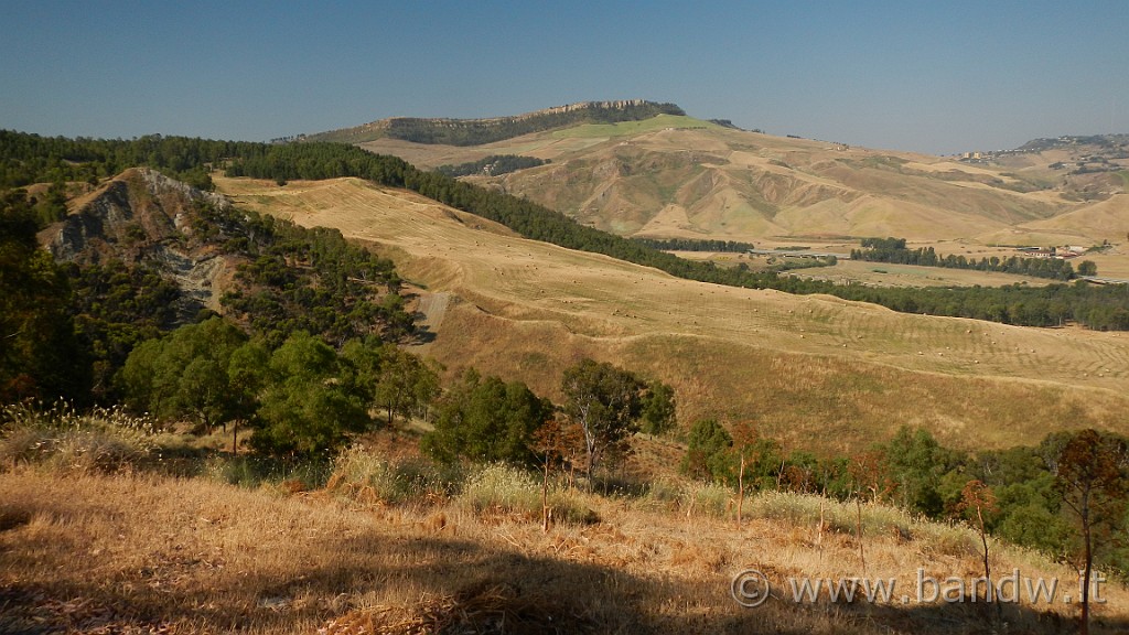 DSCN1125.JPG - Riserva Naturale Orientata di Monte Capodarso e Valle dell'Imera