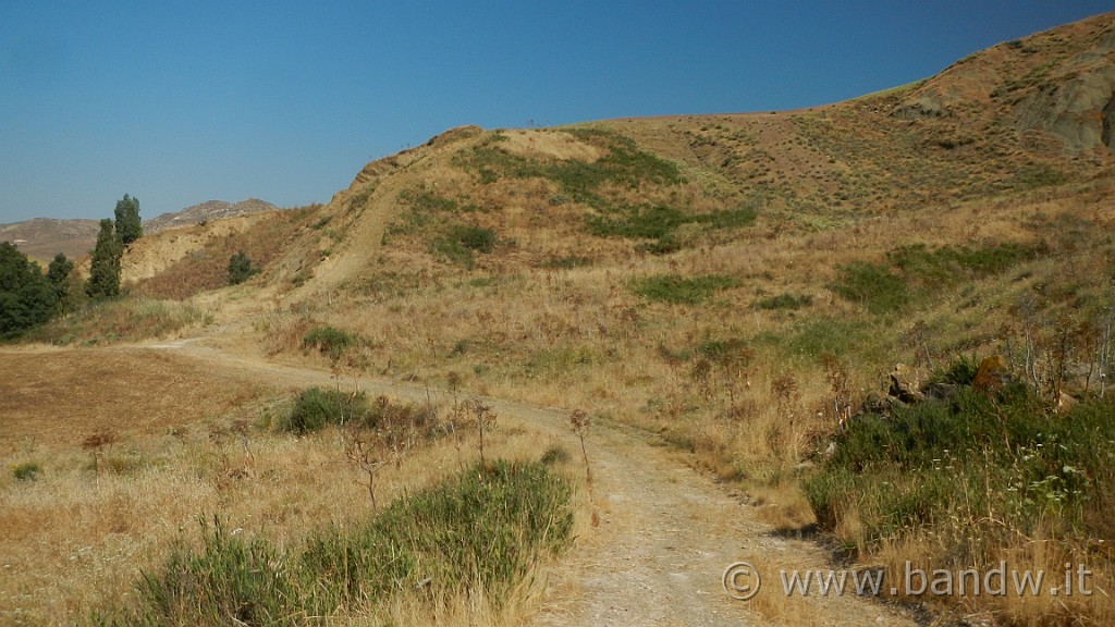 DSCN1128.JPG - Riserva Naturale Orientata di Monte Capodarso e Valle dell'Imera