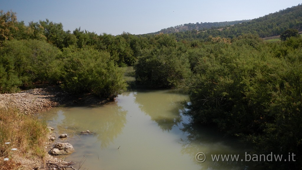 DSCN1130.JPG - Riserva Naturale Orientata di Monte Capodarso e Valle dell'Imera