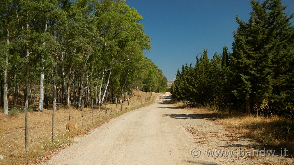 DSCN1132.JPG - Riserva Naturale Orientata di Monte Capodarso e Valle dell'Imera