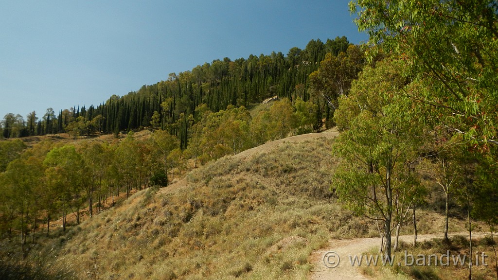 DSCN1135.JPG - Riserva Naturale Orientata di Monte Capodarso e Valle dell'Imera