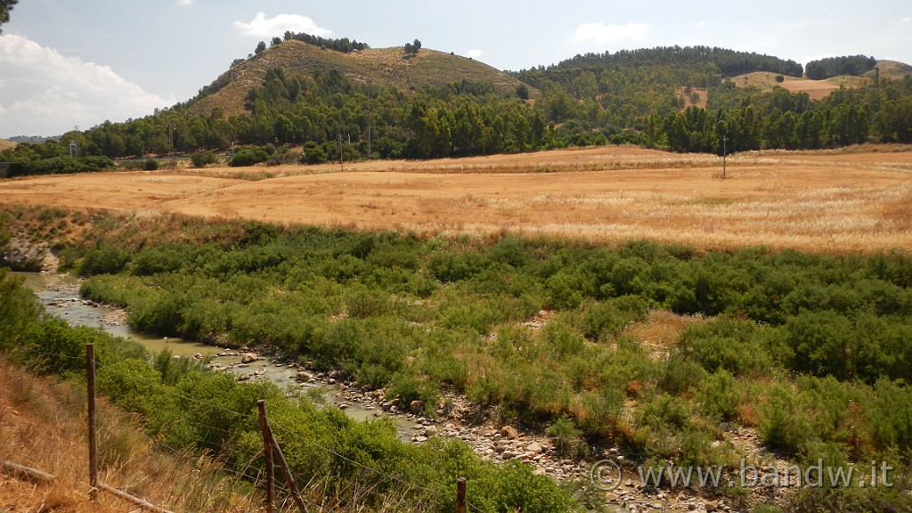 DSCN1142.JPG - Riserva Naturale Orientata di Monte Capodarso e Valle dell'Imera