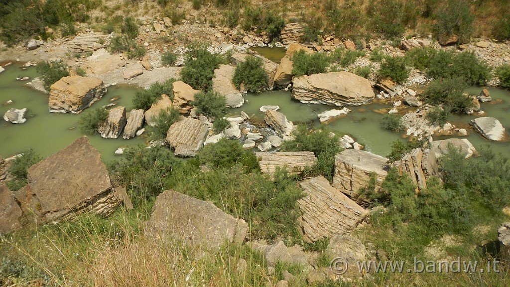 DSCN1157.JPG - Riserva Naturale Orientata di Monte Capodarso e Valle dell'Imera