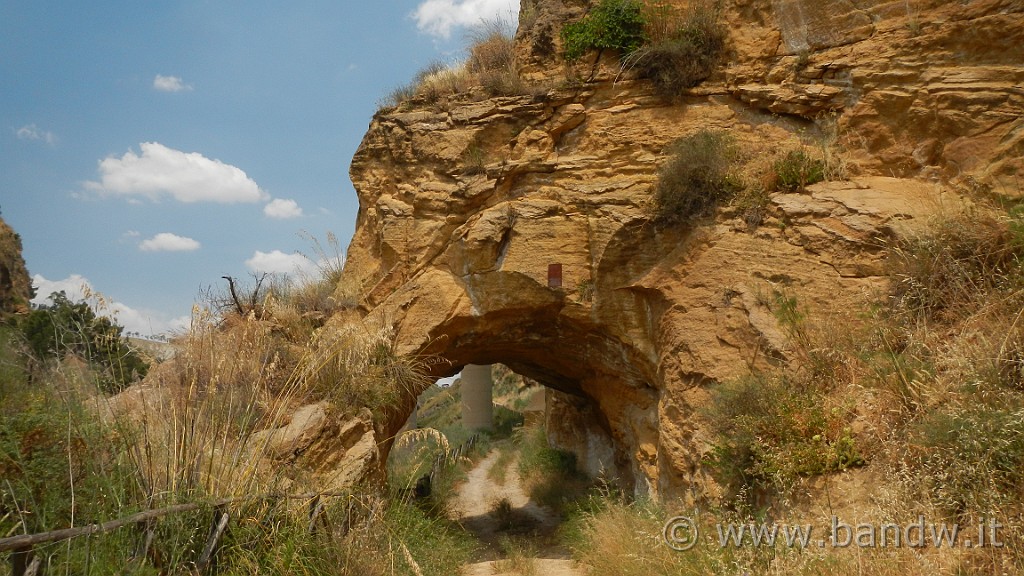 DSCN1163.JPG - Riserva Naturale Orientata di Monte Capodarso e Valle dell'Imera