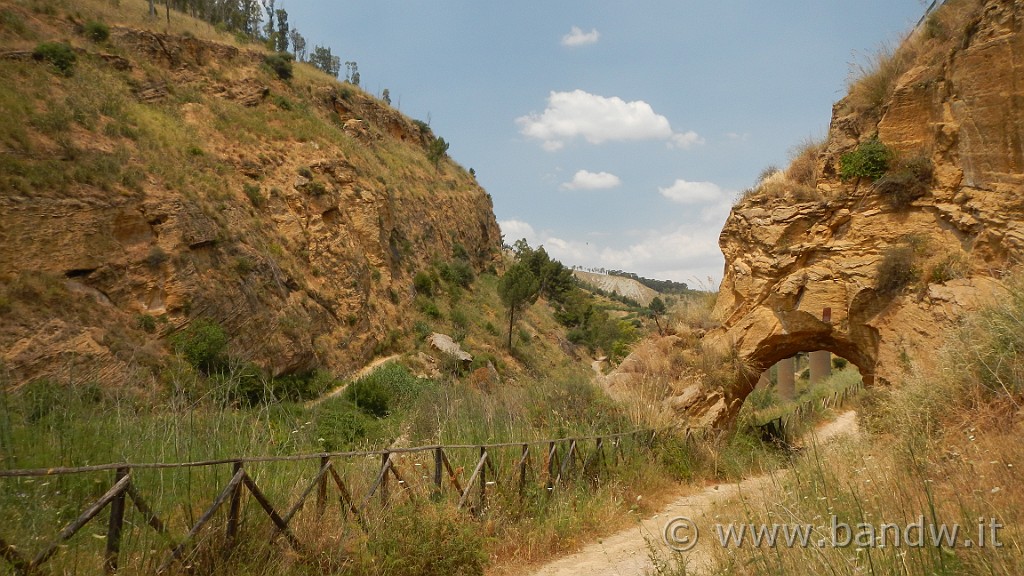 DSCN1164.JPG - Riserva Naturale Orientata di Monte Capodarso e Valle dell'Imera