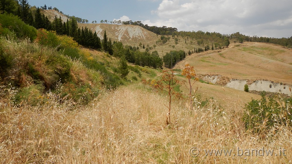 DSCN1173.JPG - Riserva Naturale Orientata di Monte Capodarso e Valle dell'Imera