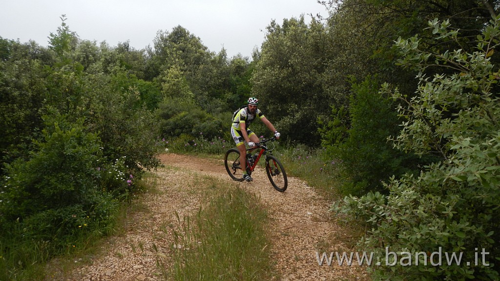 DSCN3212.JPG - Riserva Naturale Regionale Orientata Bosco delle Pianelle