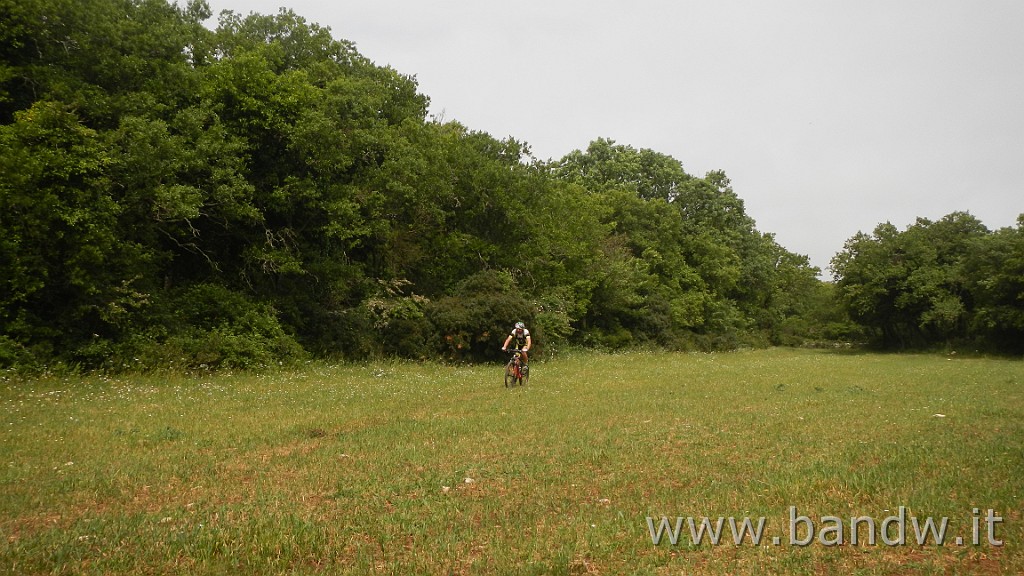 DSCN3229.JPG - Riserva Naturale Regionale Orientata Bosco delle Pianelle