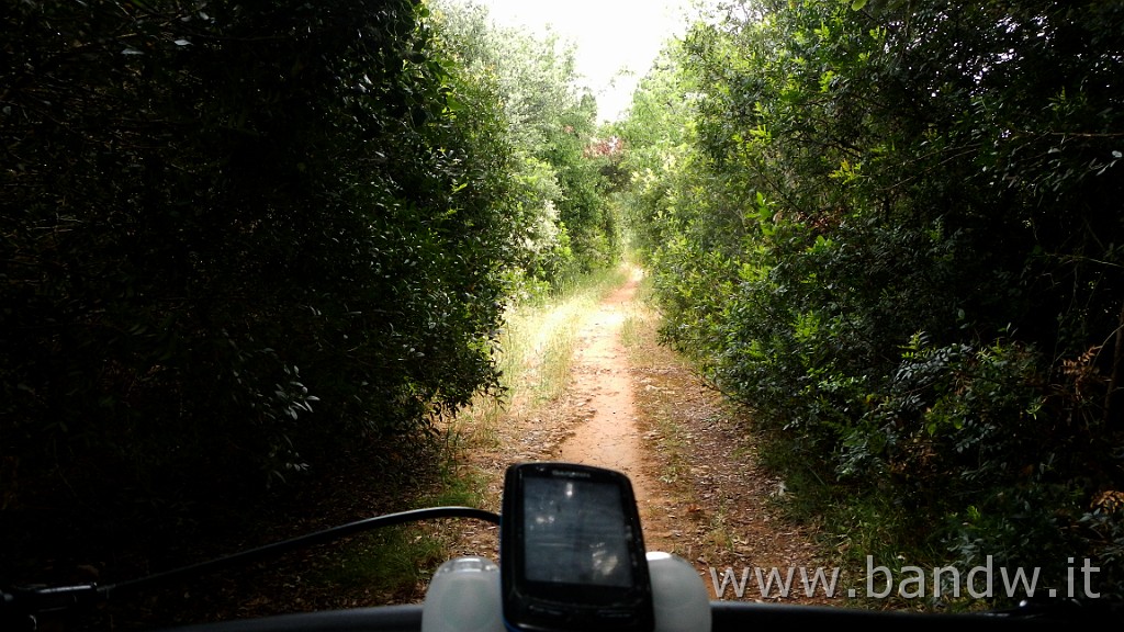 DSCN3235.JPG - Riserva Naturale Regionale Orientata Bosco delle Pianelle