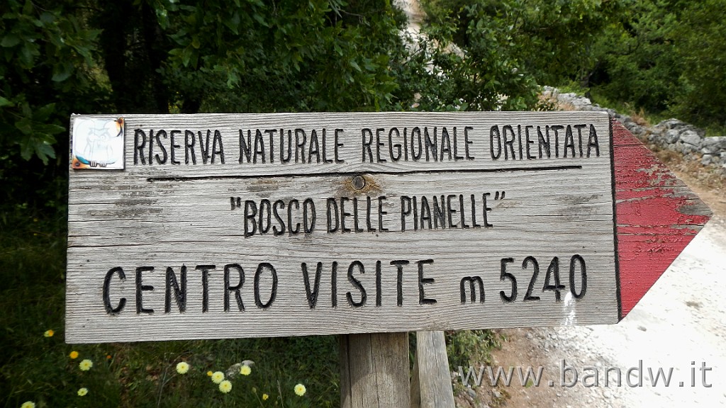 DSCN3241.JPG - Riserva Naturale Regionale Orientata Bosco delle Pianelle