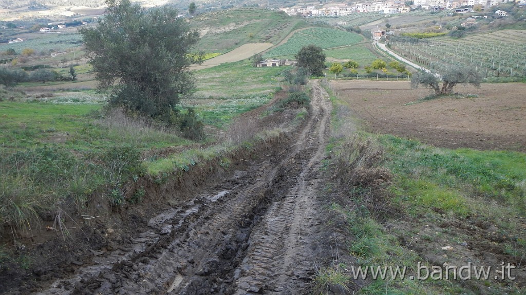 DSCN4223.JPG - S.M.Ganzaria-Mirabella imbaccari-San cono