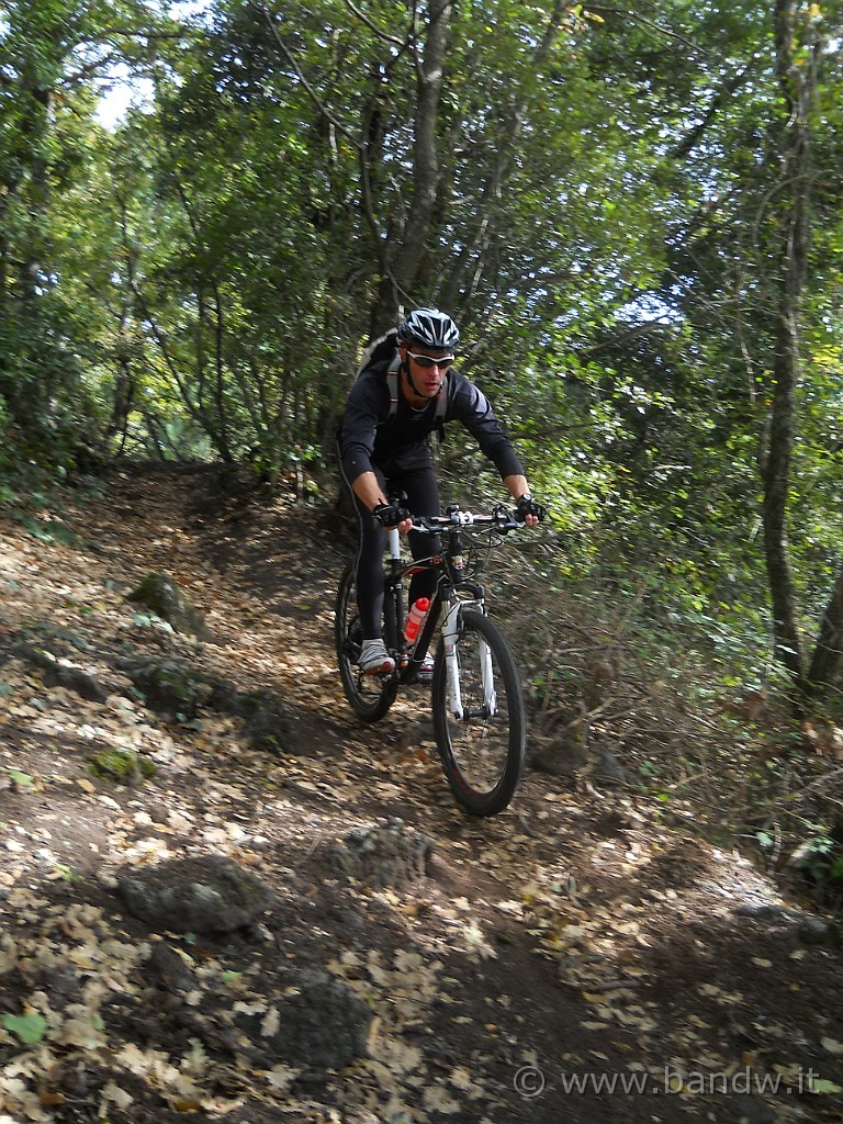 DSCN2576.jpg - Ci buttiamo a capofitto  in tutto i S.T. che incontriamo, Virtex dà libero sfogo alla sua Bottecchia FX 540