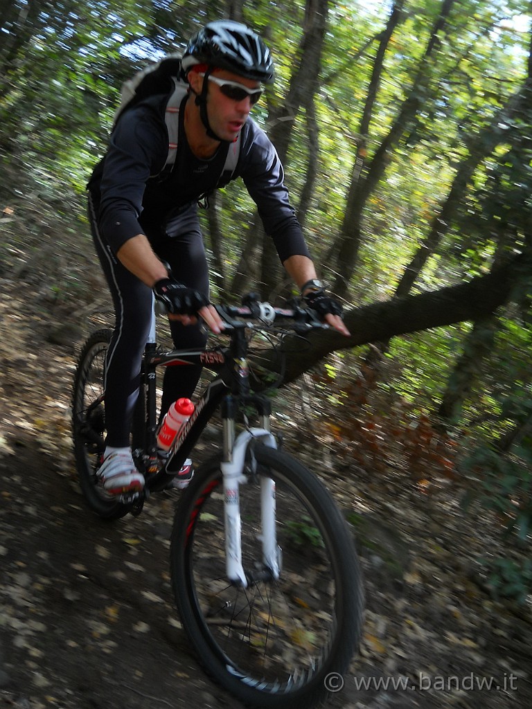 DSCN2577.jpg - Ci buttiamo a capofitto  in tutto i S.T. che incontriamo, Virtex dà libero sfogo alla sua Bottecchia FX 540