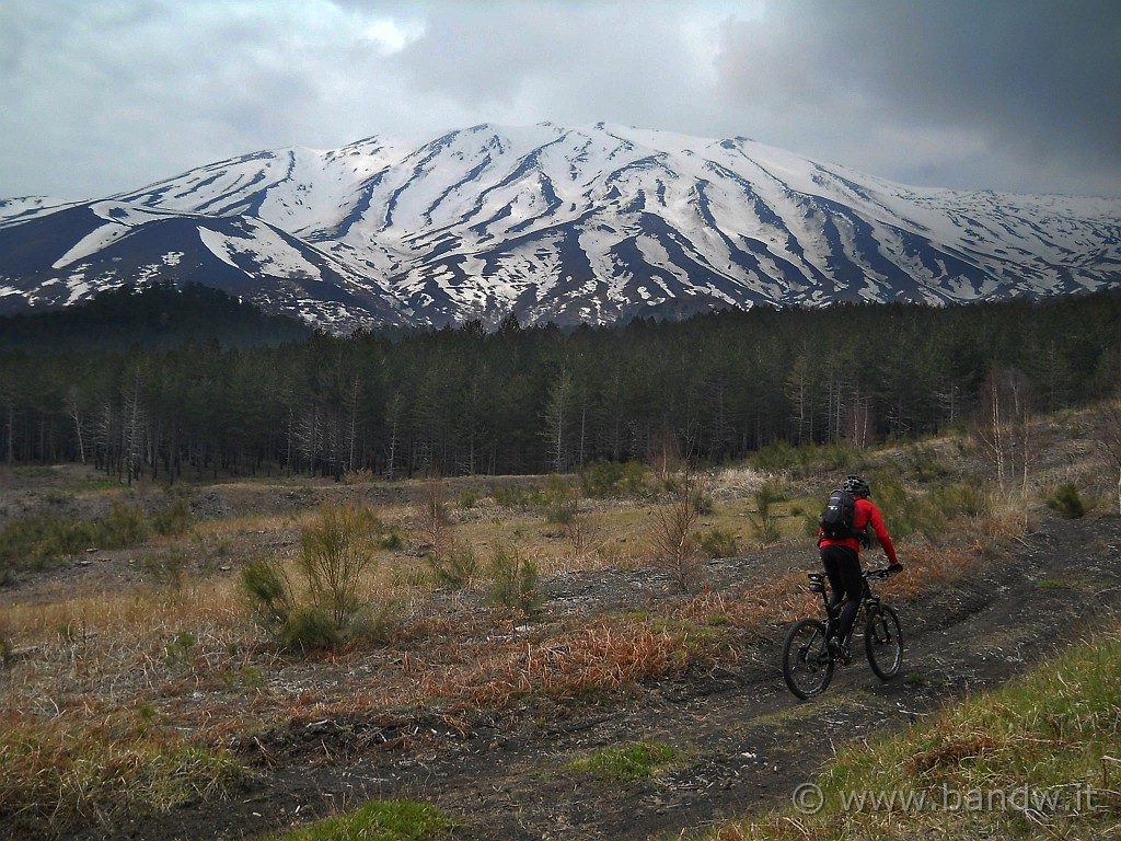 DSCN4469.JPG - Mentre aspettiamo che Massimo sistemi la Bici, ne approfittiamo per farci qualche foto