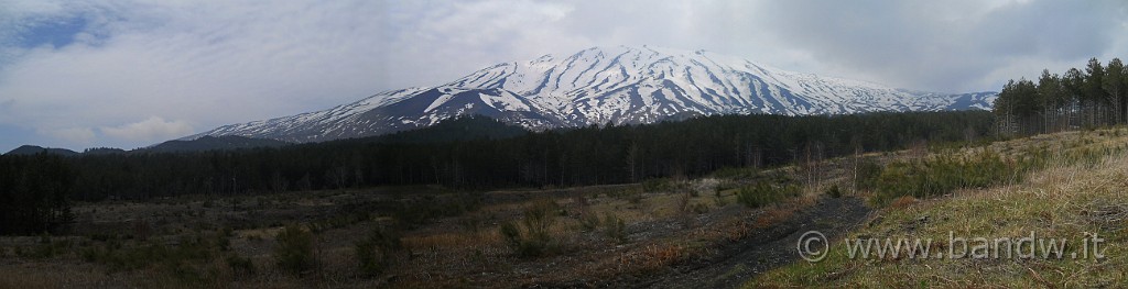 DSCN4472-73-74.jpg - La pineta Ragabo ai piedi dell'Etna