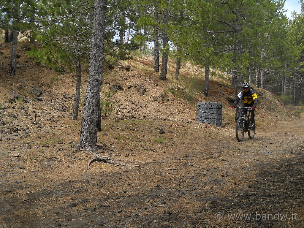 DSCN4505.JPG - Gaetano riesco a beccarlo solo qui, passa troppo veloce e  sfugge allo scatto successivo della fotocamera