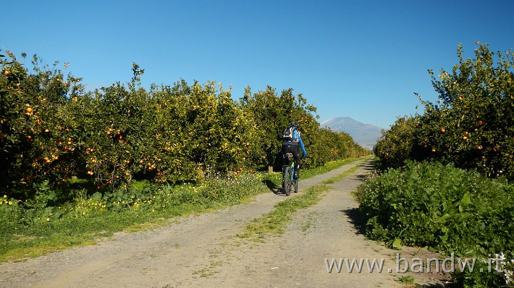 DSCN2672.JPG - Tour Simeto Lungo