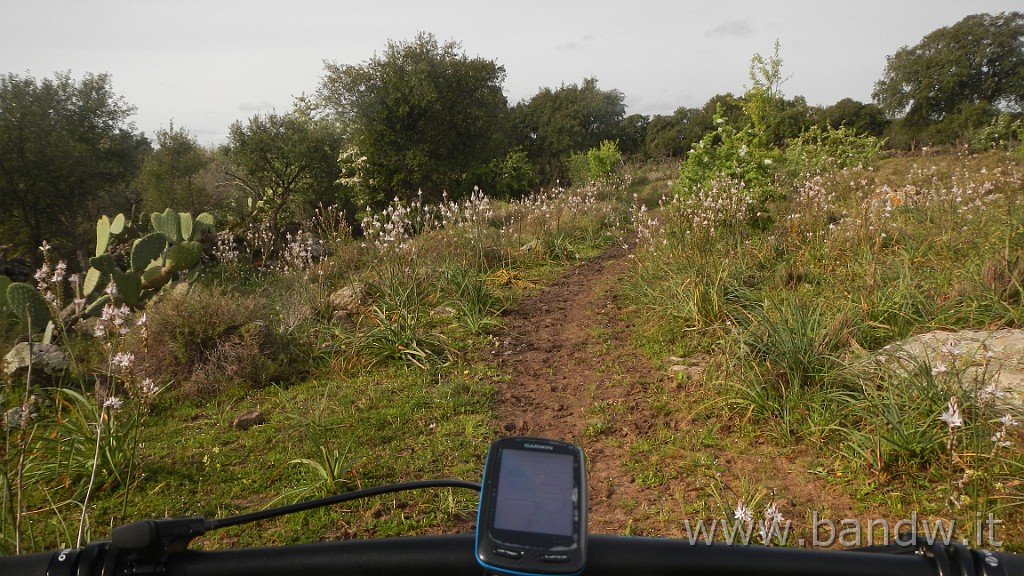 DSCN2878.JPG - Villasmundo exploring