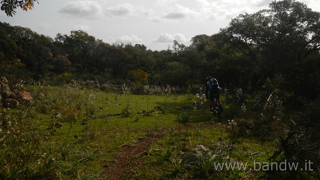 DSCN2884.jpg - Villasmundo exploring