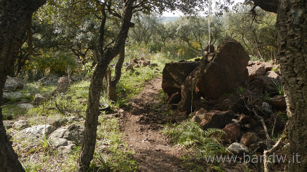 DSCN2890.JPG - Villasmundo exploring