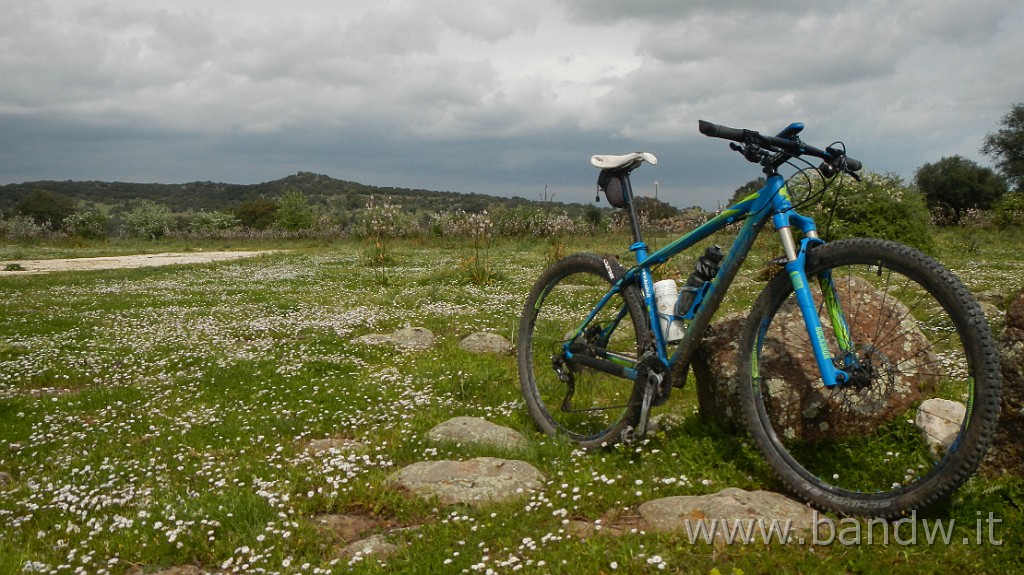 DSCN2920.JPG - Villasmundo exploring