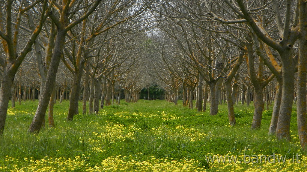 DSCN2925.JPG - Villasmundo exploring