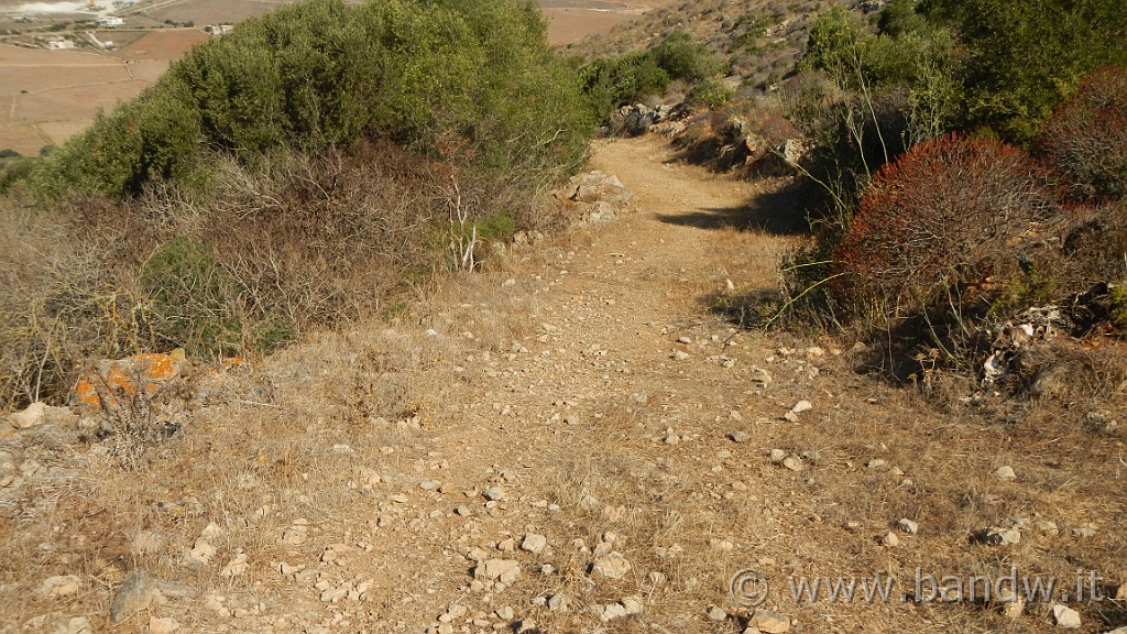 DSCN9330.JPG - Il ripido sentiero che scende da Portella Cervo