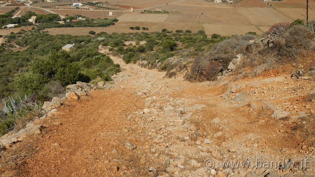 DSCN9331.JPG - Il ripido sentiero che scende da Portella Cervo, sempre più difficile