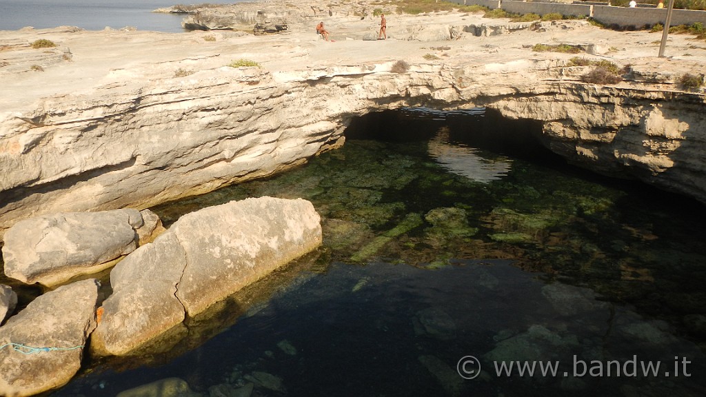 DSCN9377.JPG - La costa di Grotta Perciata