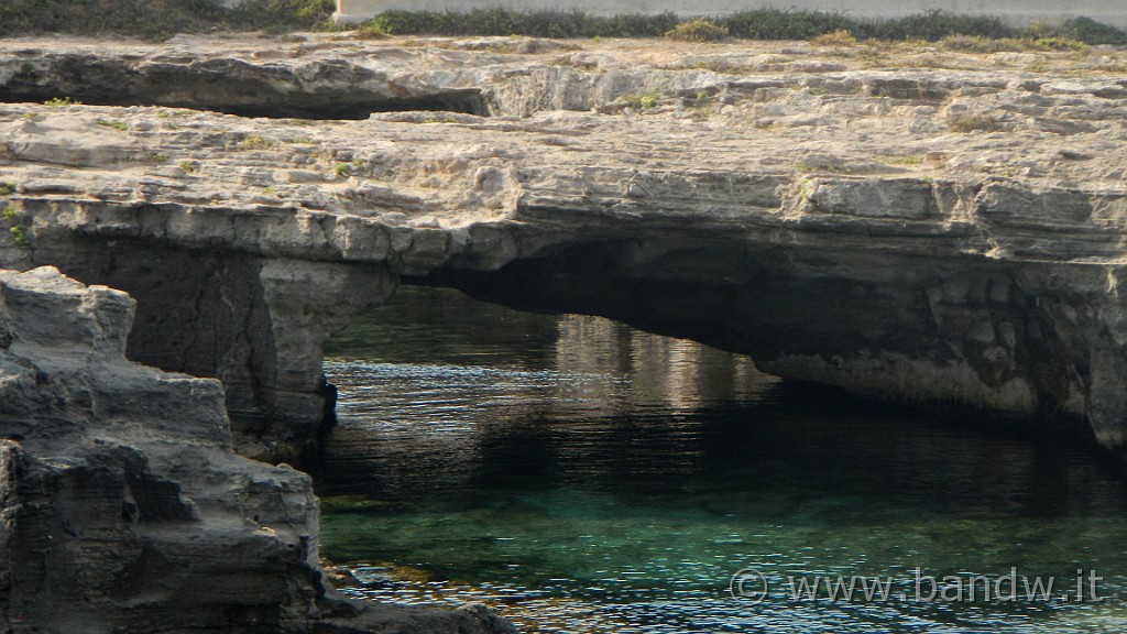 DSCN9380.JPG - La costa di Grotta Perciata