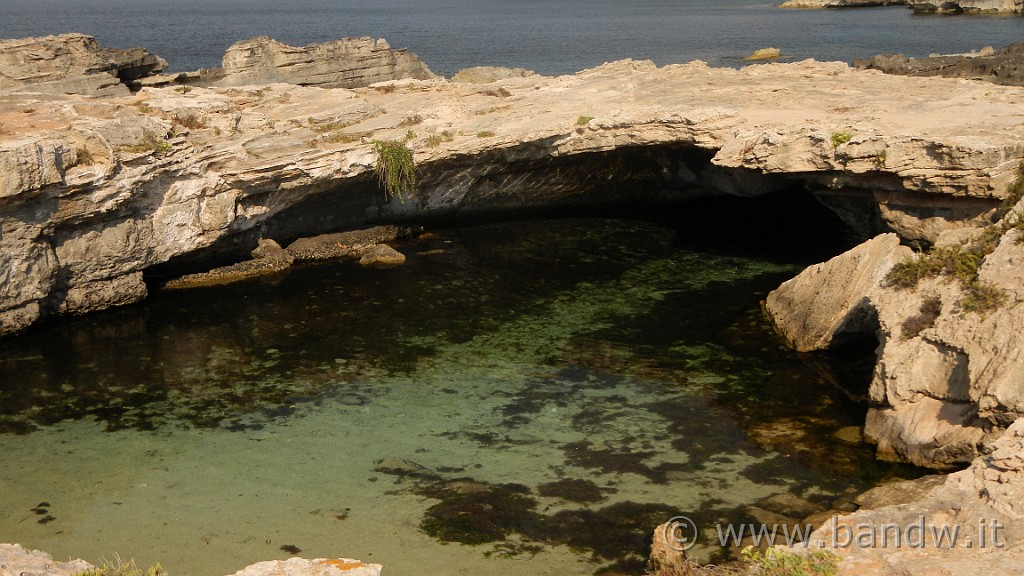 DSCN9381.JPG - La costa di Grotta Perciata