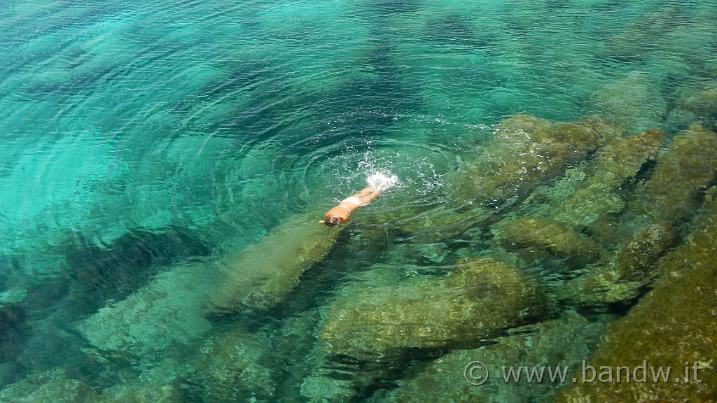 DSCN9397.JPG - Il mare cristallino di Cala Azzurra