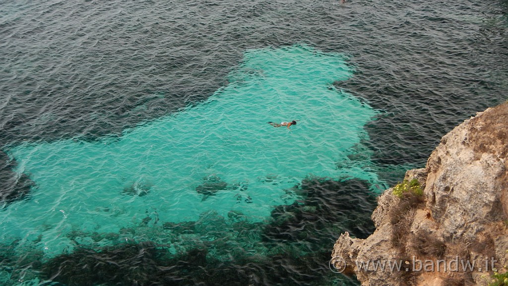 DSCN9422.JPG - Il mare del "Bue Marino"