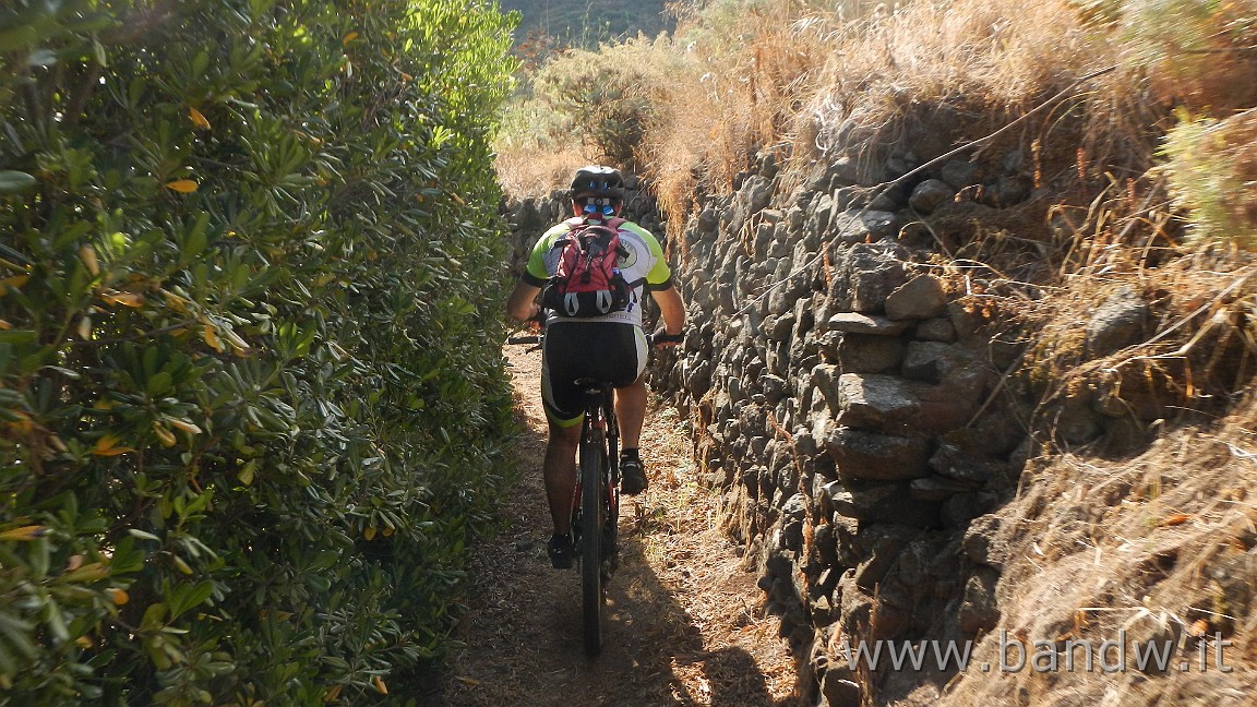 DSCN3420.JPG - Non ci facciamo mancare neanche i Single Track