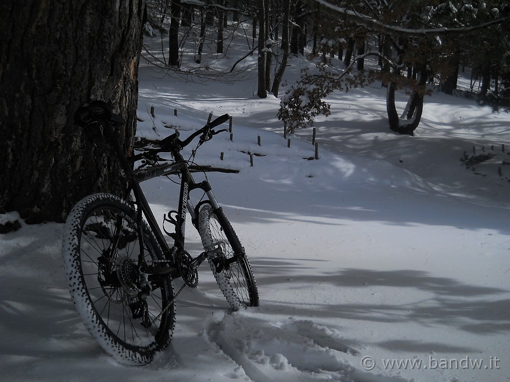 DSCN2884.JPG - Decido di non salire più al rifugio Sapienza, c'e troppo vento e la neve che arriva velocemente in faccia mi fà proprio male, quindi dirigo per Piano Vetore, facendo il giro da sotto l'omonimo monte