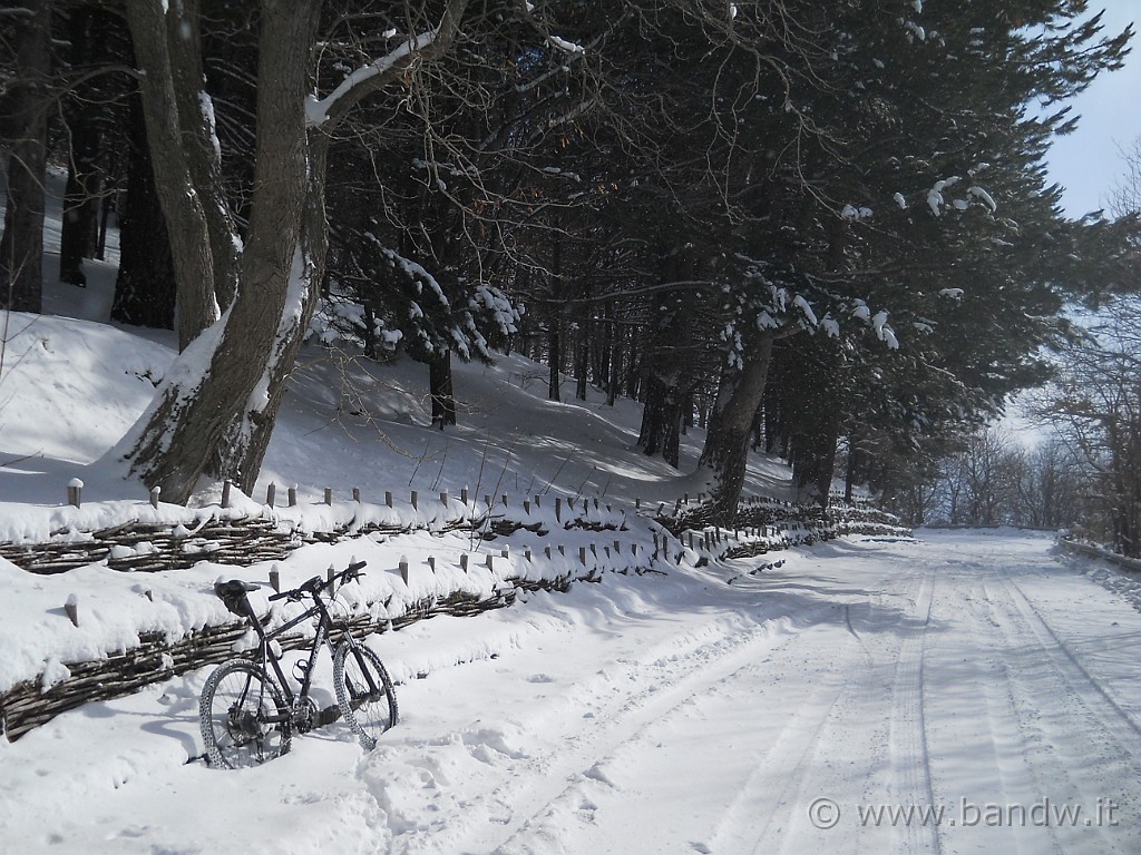 DSCN2886.JPG - Purtroppo anche qui debbo rinunciare al mio secondo obiettivo, c'è troppo vento e quindi arrivato a 1690 mt, giro la bici, sgonfio le ruote ed inzio a scendere :-((