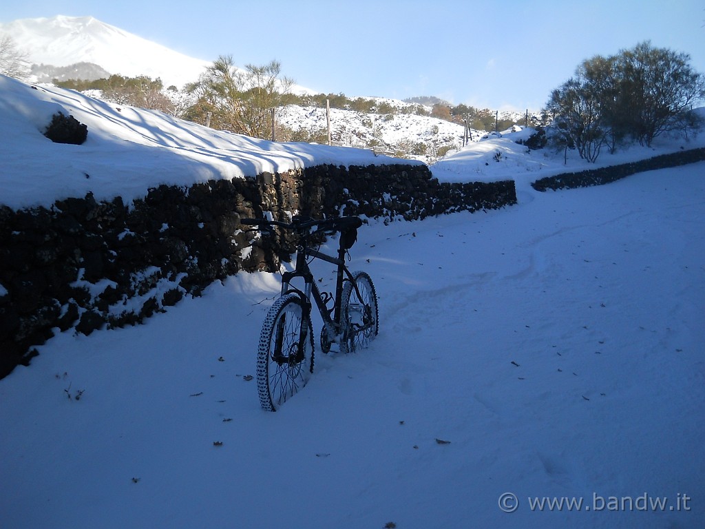 DSCN2892.JPG - Lascio la SP 92 e mi butto su sterrato, qui la neve è proprio alta e soffice, addirittura anche in discesa mi tocca mettermi in piedi sulla bici per pedalare!!!!!