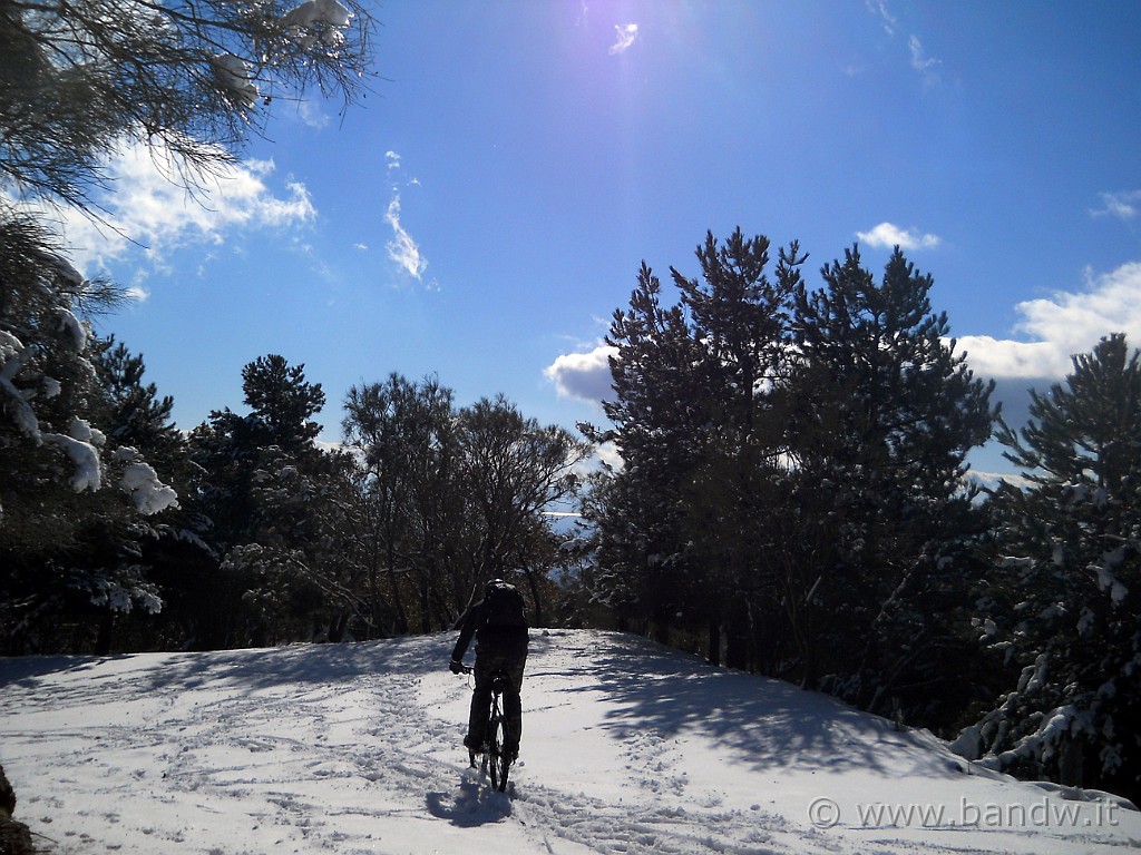 DSCN2906.JPG - Mi diverto come un bambino a scorazzare sulla neve!!!!!