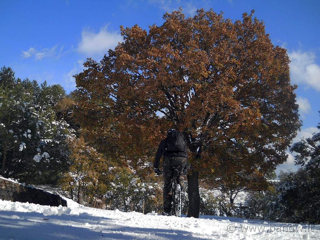 DSCN2909.JPG - Il paesaggio mi fà dimenticare presto del freddo preso!!