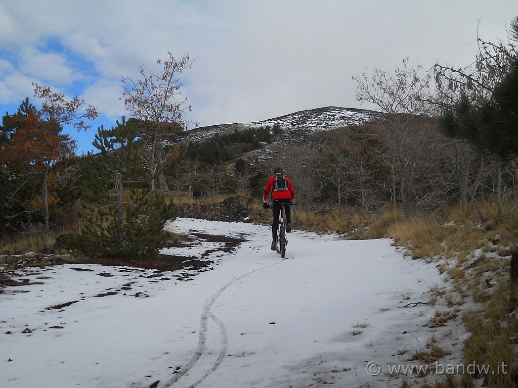 DSCN2429.JPG - Anche L@TTiCino si diverte sulla neve