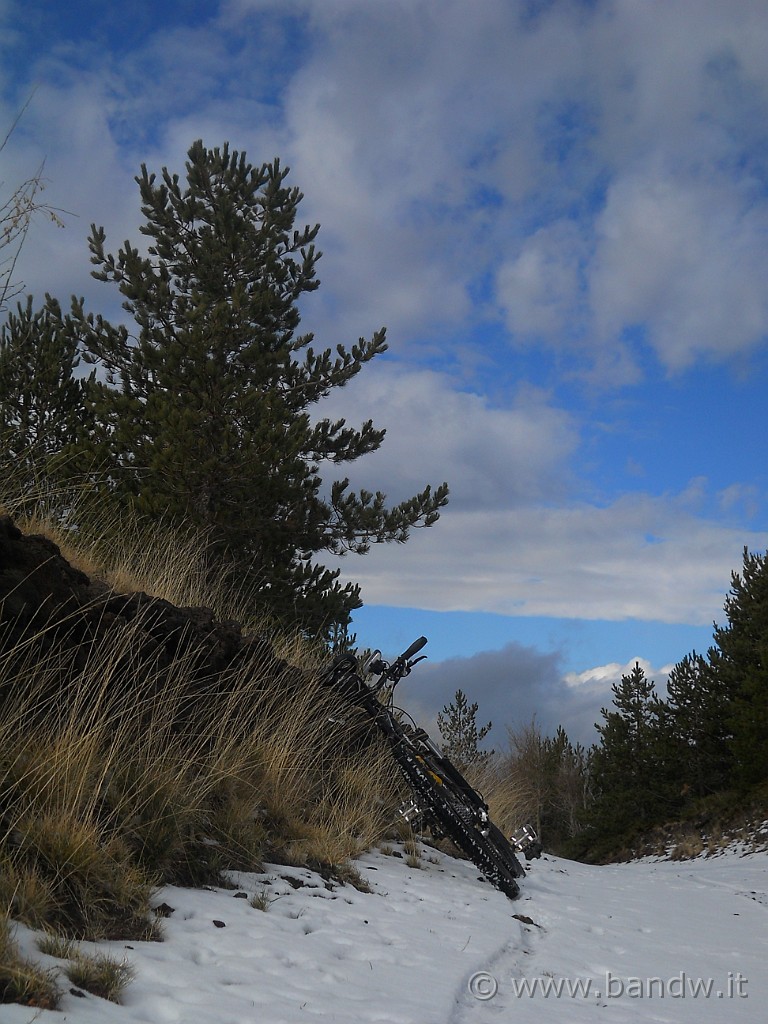 DSCN2438.JPG - 1947 mt. s.l.m. Il punto più alto dell'Altomontana, qui la mia fida compagna di avventure si riposa ed io mi vesto più pesante in previsione della fredda discesa