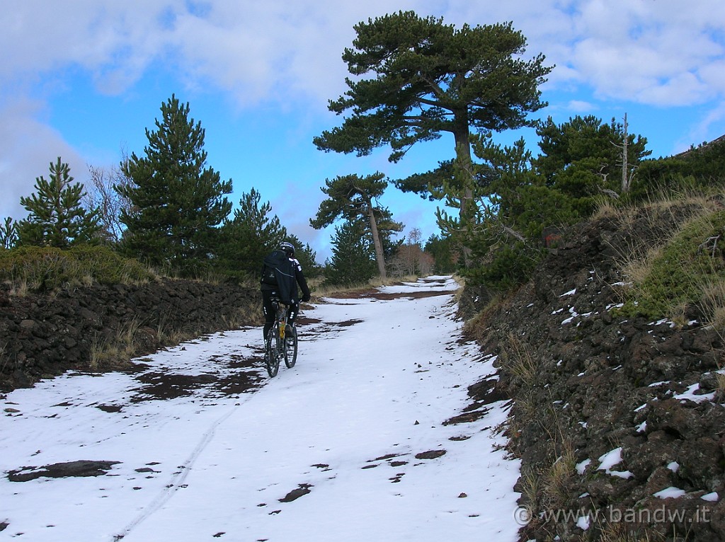 DSCN7344.JPG - ...............per tutto il resto c'è la mia MTB :-))))