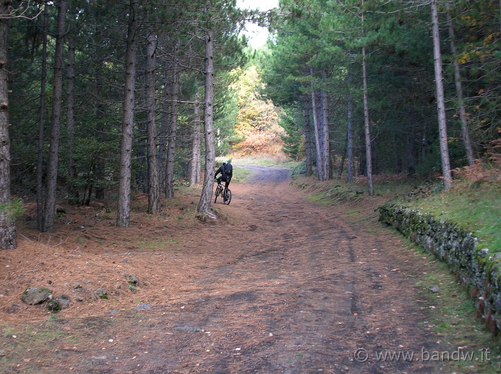 DSCN7399.JPG - "Barcollo ma non mollo" :-))))