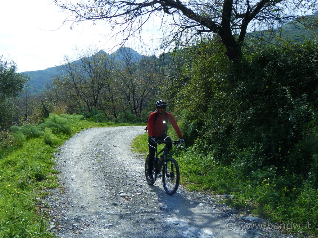 047.JPG - Biker in action