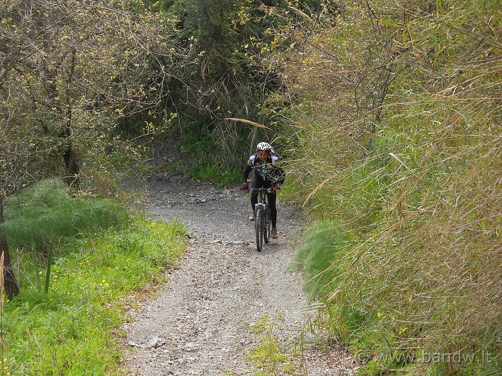 DSCN3942.JPG - Biker in action