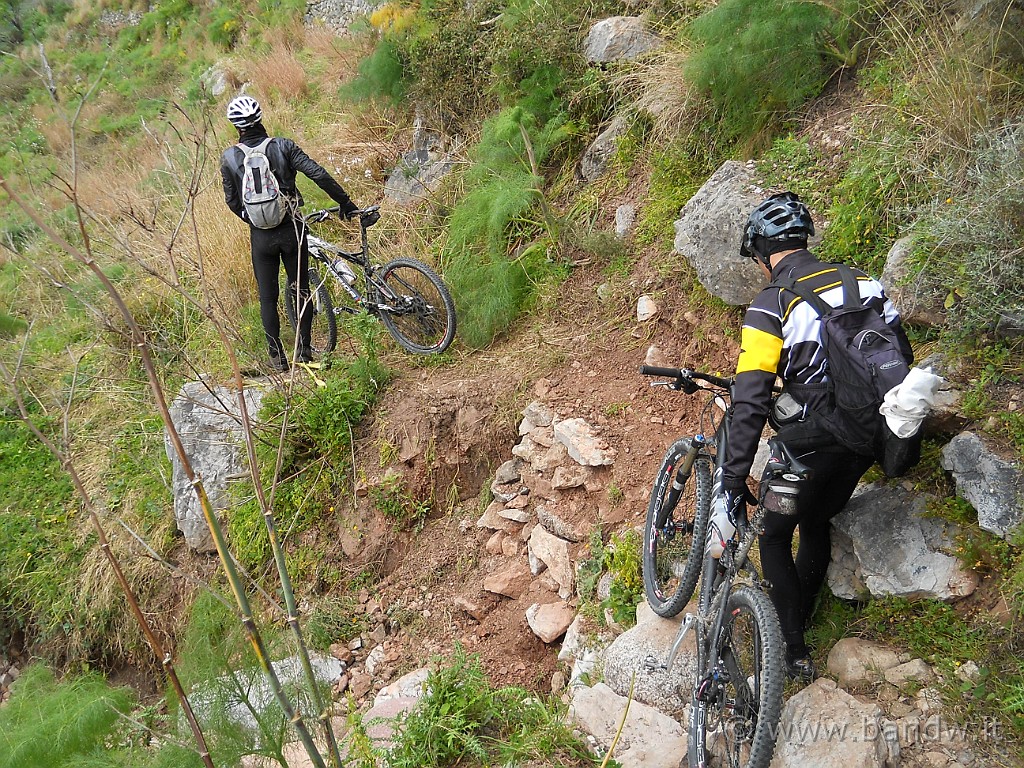 DSCN3786.JPG - Si procede lungo un single Track