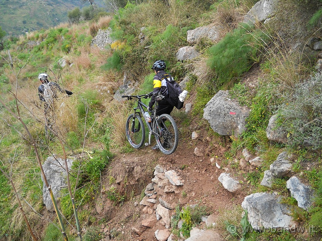 DSCN3787.JPG - Si procede lungo un single Track