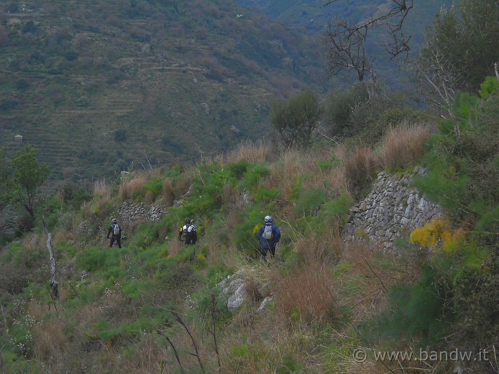 DSCN3788.JPG - Si procede lungo un single Track