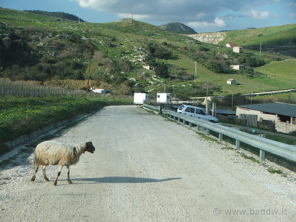 Capodanno in camper (158).JPG - Immersi nella natura